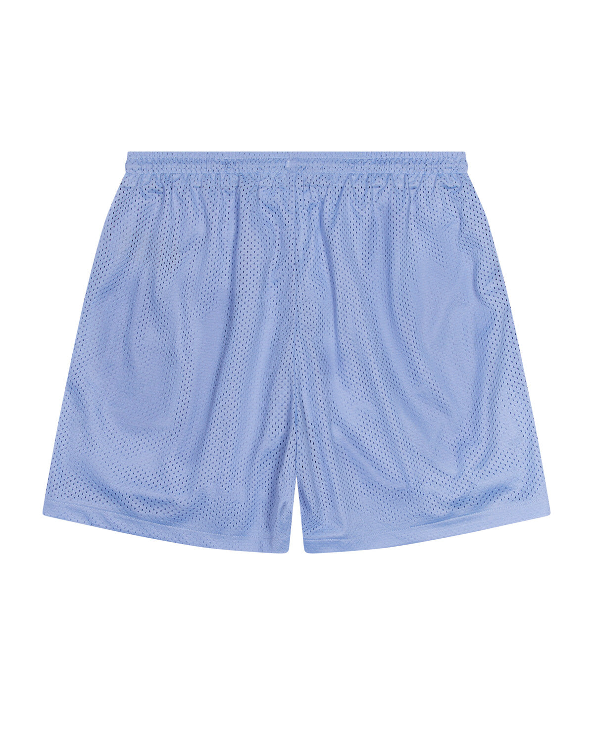 Irongate T Basketball Shorts - Light Blue